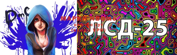 PSILOCYBIN Балабаново