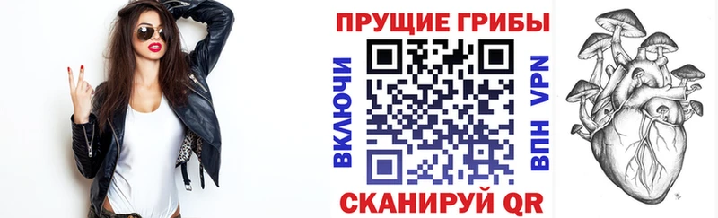 Псилоцибиновые грибы мицелий  закладка  ОМГ ОМГ ONION  Саянск 